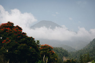 Scenic view of tree mountains against sky