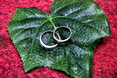 High angle view of wedding rings on leaf