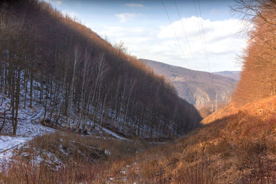 Scenic view of landscape against sky during winter