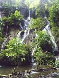 Waterfall in forest