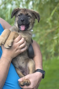 Midsection of man holding dog