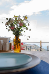 Potted plant on table