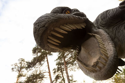 Low angle view of eagle against sky