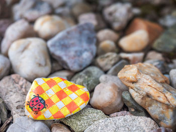 Ladybug painted on small pebble, children trail game. hidden pebbles with pictures in destination