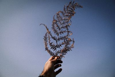 Cropped hand of man holding dried leaves against clear blue sky