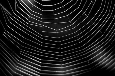 Full frame shot of spider web