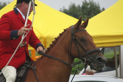 Man riding horse cart