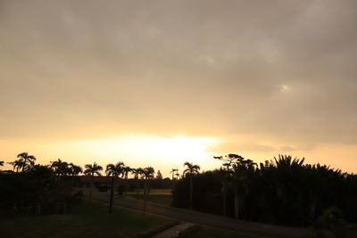 Silhouette trees against sky during sunset