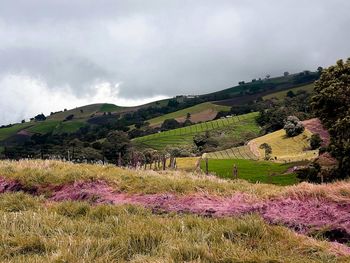 Scenic view of landscape against sky