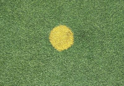 High angle view of yellow ball on field