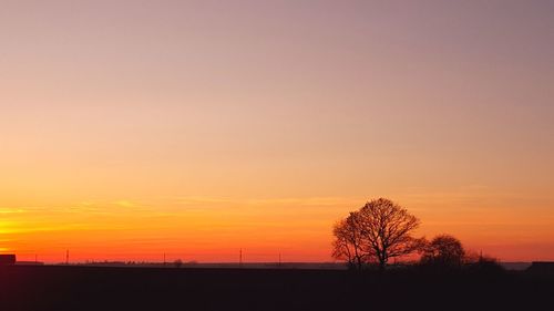 Silhouette of trees at sunset