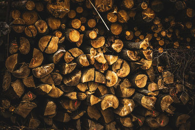 Full frame shot of logs in forest