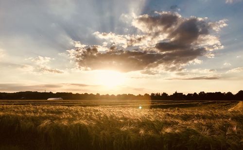 Scenic view of field against sky during sunset