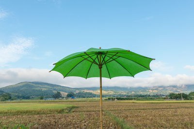 Green farm against sky