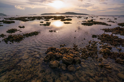 Scenic view of sea against sky at sunset