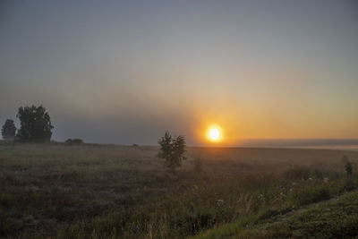 Scenic view of field against sky during sunset