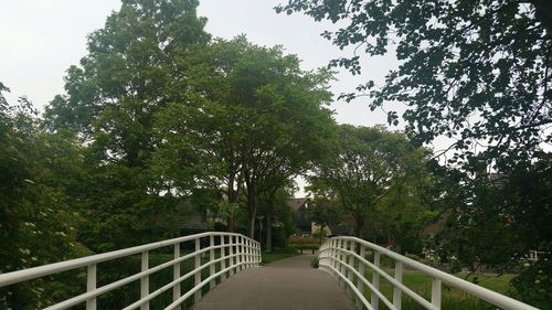 Footbridge over river