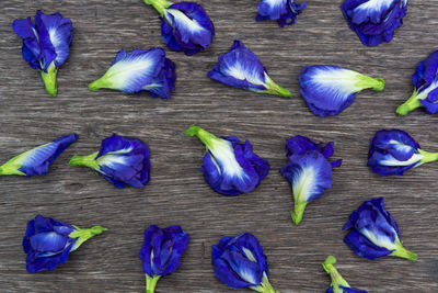 High angle view of purple flowering plants on wooden table