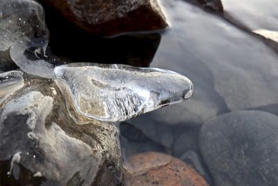 Close-up of ice crystals on rock