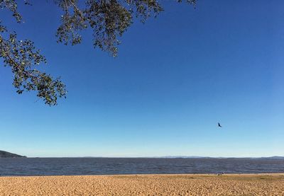 Scenic view of lake against clear blue sky