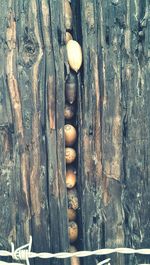 Close-up of wooden wall