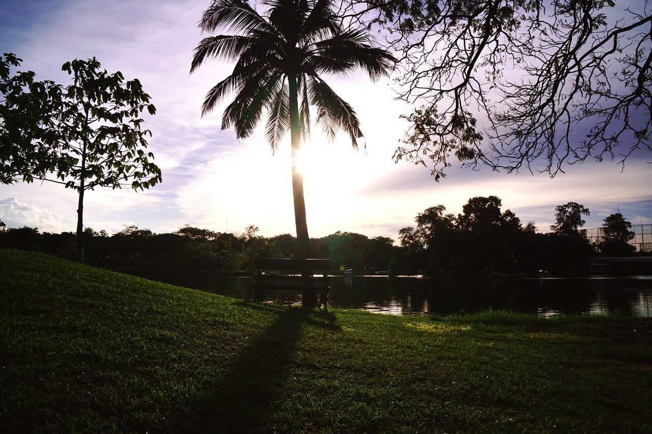 SCENIC VIEW OF PARK DURING SUNSET