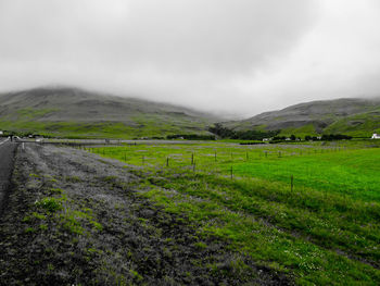 Scenic view of field against sky