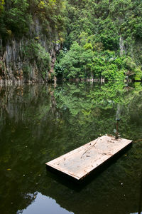 Reflection of trees in water