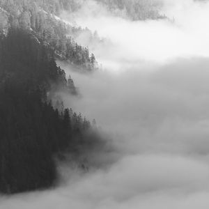 Low angle view of tree against sky