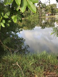 Scenic view of lake