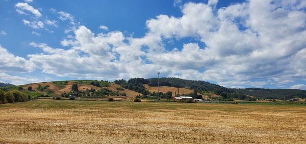 Scenic view of agricultural field against sky