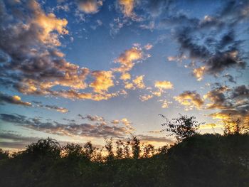 Silhouette trees on field against sky at sunset