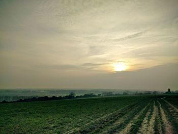 Scenic view of grassy landscape at sunset