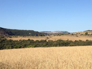 Scenic view of field against clear blue sky