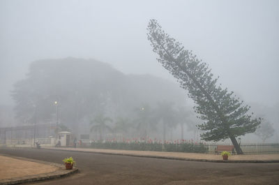 Scenic view of tree in foggy weather against sky