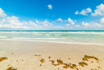 Scenic view of beach against sky