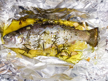 Close-up of fish in water