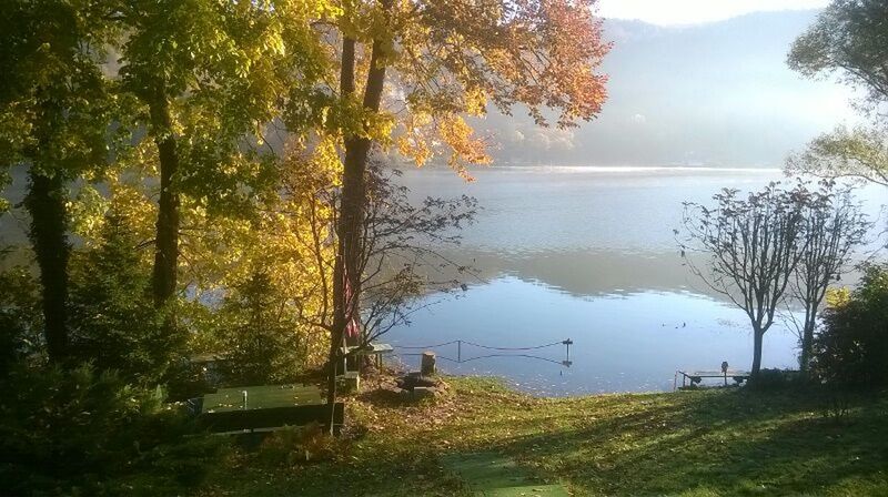 tree, nature, beauty in nature, tranquil scene, lake, tranquility, scenics, autumn, water, no people, outdoors, reflection, idyllic, growth, day, fog, leaf, landscape, grass, branch, forest, sky