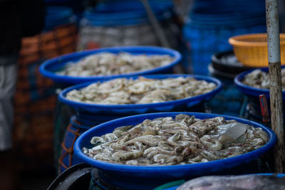 Fresh prawns on the plastic container in traditional market