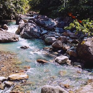 River flowing through rocks in forest