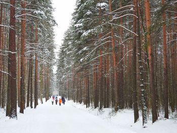 Rear view of people walking on snow covered land