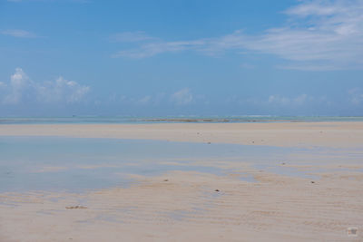 Scenic view of beach against blue sky