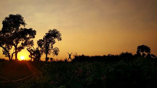 Silhouette trees on field against sky during sunset