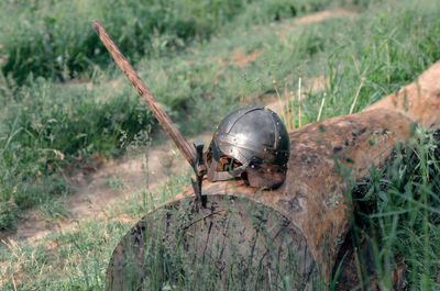 View of ancient viking armor lying on a wooden log. helmet and ax. historical photo concept.