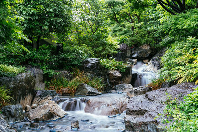 Stream flowing through rocks in forest