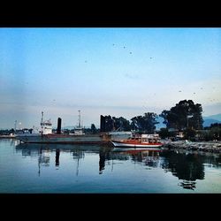 Boats in harbor