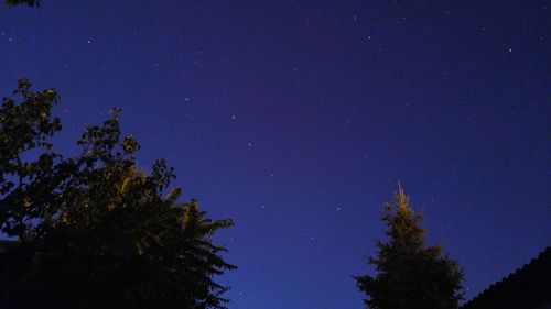 Low angle view of silhouette trees against sky at night