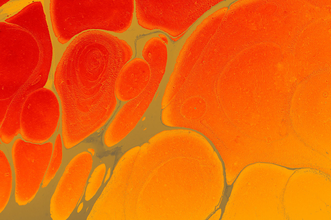 orange, orange color, backgrounds, yellow, full frame, no people, petal, pattern, close-up, abstract, flower, science, magnification, biology, amber, textured, abstract backgrounds, geometric shape, circle, microbiology, healthcare and medicine, macro photography, shape, education, extreme close-up, plant, indoors, water, multi colored, vibrant color, creativity