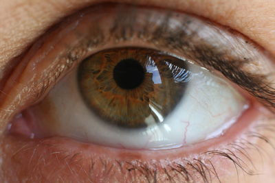 Close-up portrait of human eye