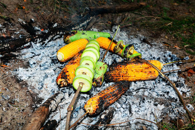 Vegetables on embers . picnic for vegans